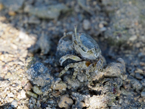 2011102802.jpg