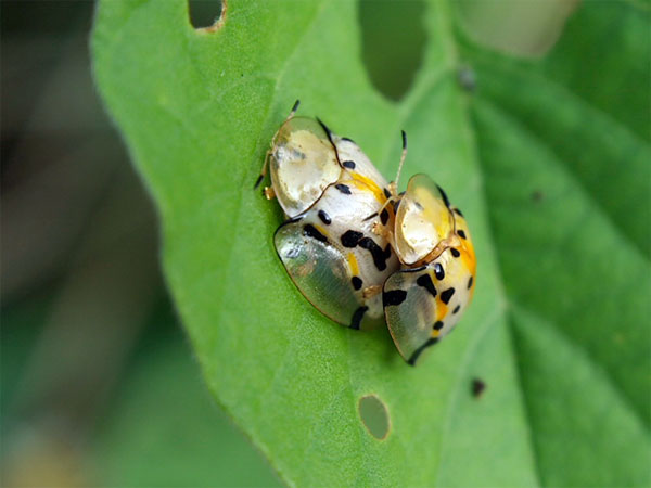 2011111403.jpg
