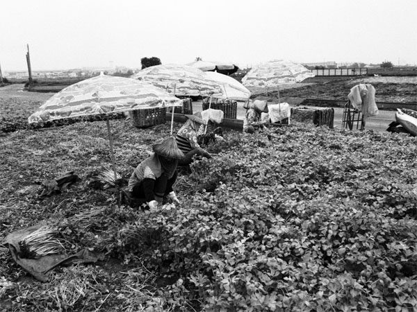 2011120502.jpg