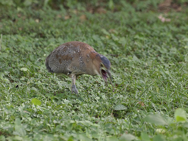 2011120801.jpg