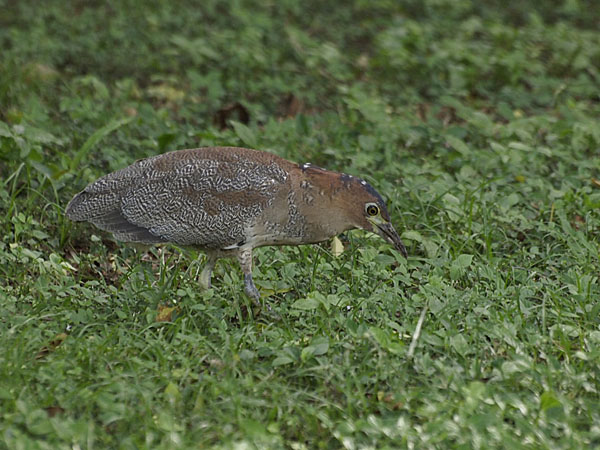 2011121804.jpg