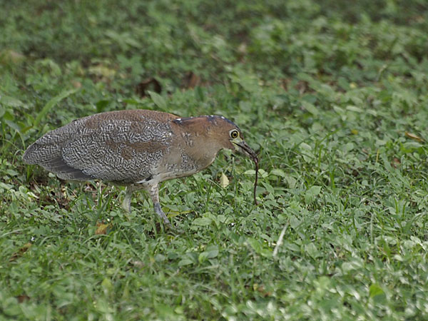 2011121805.jpg