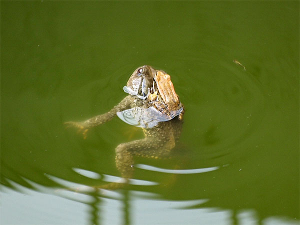 2012010401.jpg
