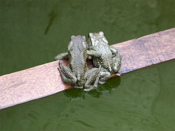 2012010403.jpg