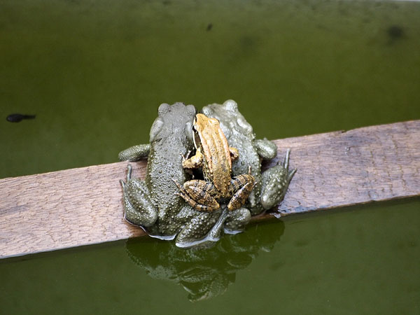 2012010404.jpg