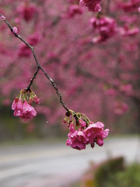 2012022003