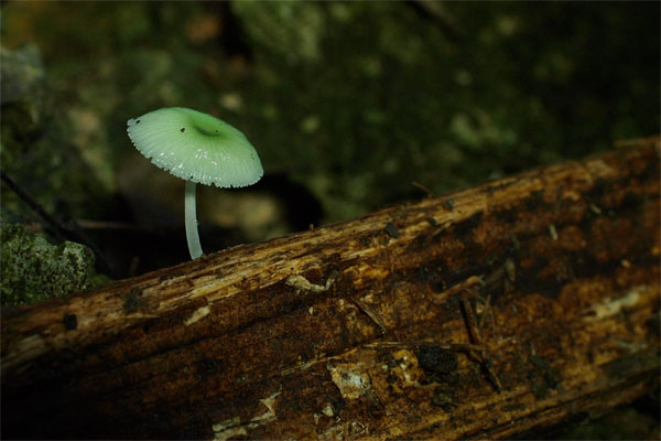 2010080904.jpg