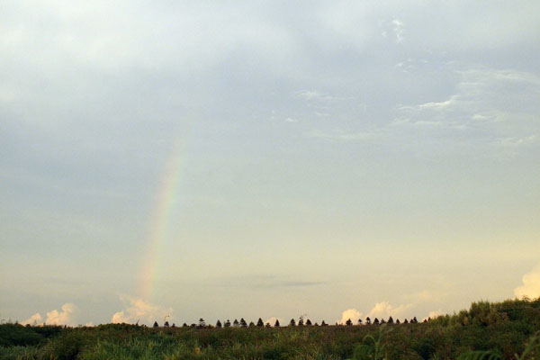 2010081601.jpg