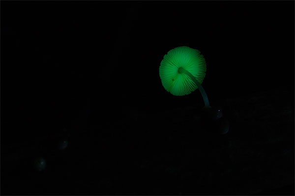 2010080901.jpg