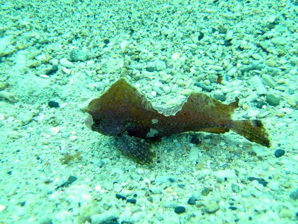 2010071702.jpg