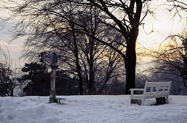 2010123002.jpg