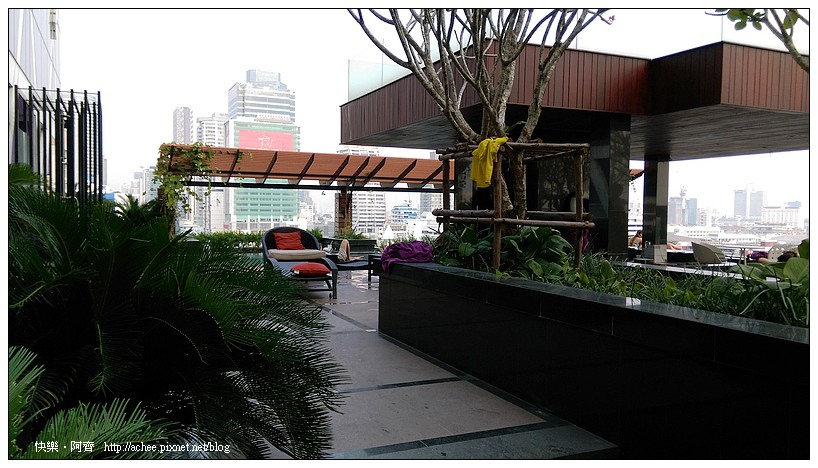 IMAG0041.jpg IMAG0041.jpg