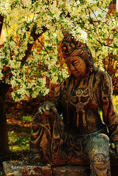 kwan_yin_by_elyse81-d46kgi4.jpg kwan_yin_by_elyse81-d46kgi4.jpg