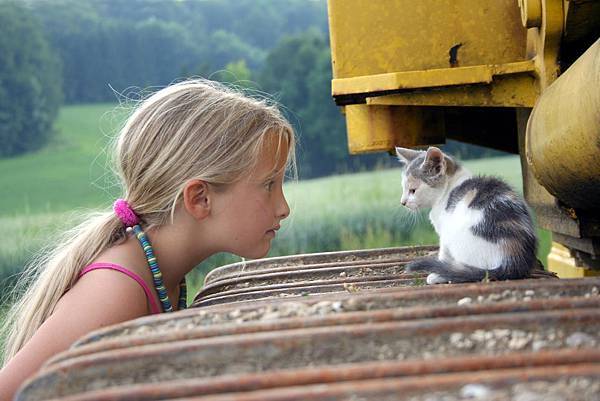 動物心靈溝通中階證書課程