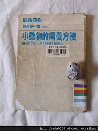 小動物的飼養方法