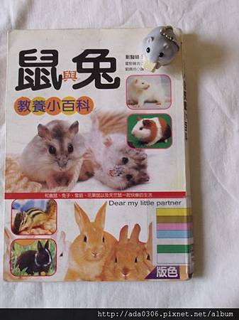 鼠與兔教養小百科