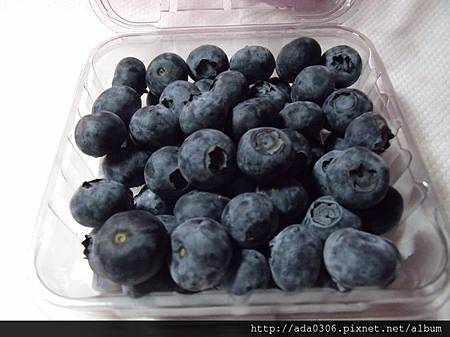 進口新鮮智利藍莓