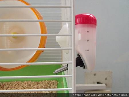 sanko彈簧水瓶鎖在籠子上的樣子.jpg sanko彈簧水瓶鎖在籠子上的樣子.jpg