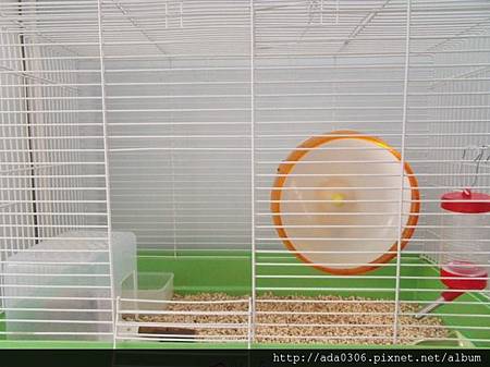 560大鼠籠1.jpg 560大鼠籠1.jpg