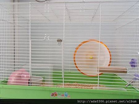 560大鼠籠2.jpg 560大鼠籠2.jpg