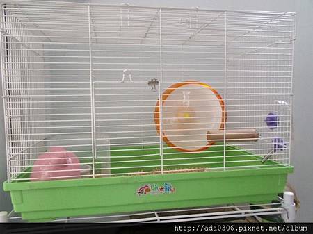 560大鼠籠3.jpg 560大鼠籠3.jpg