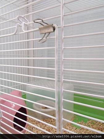 560大鼠籠4.jpg 560大鼠籠4.jpg