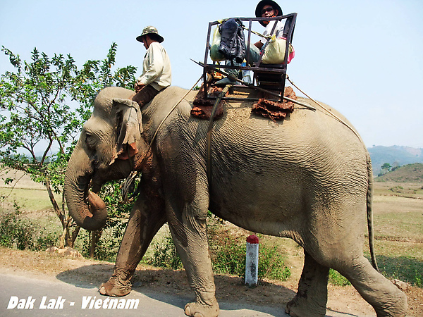 駕駛還看了我們 ~"~ 駕駛還看了我們 ~"~