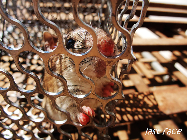 DSCF8892-1.jpg DSCF8892-1.jpg