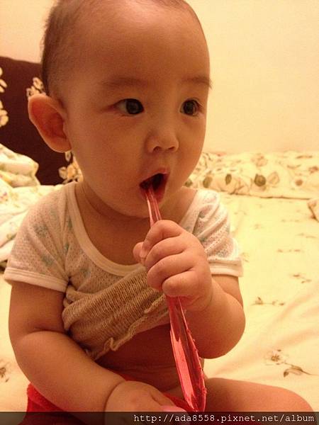 IMG_6283.JPG IMG_6283.JPG