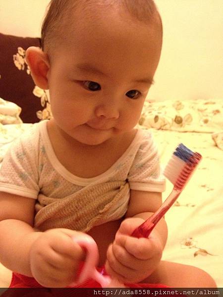 IMG_6285.JPG IMG_6285.JPG