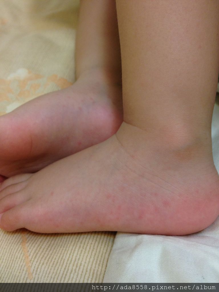 相片 14-6-5 23 40 14 相片 14-6-5 23 40 14