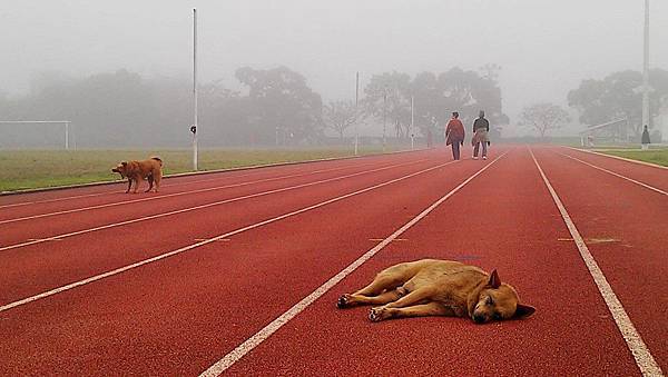 471745_2985282027177_1115812935_45357659_230047724_o 471745_2985282027177_1115812935_45357659_230047724_o