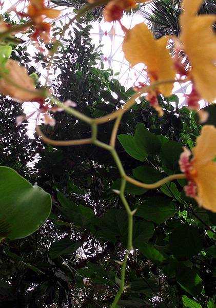 02 (1).jpg 02 (1).jpg