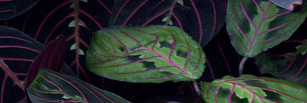 02 (2).jpg 02 (2).jpg