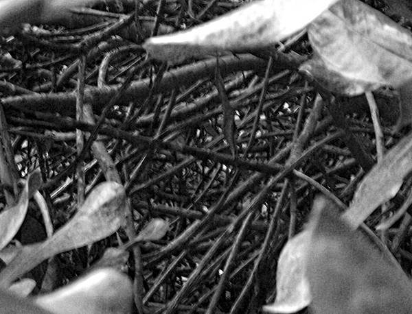 02 (4).jpg 02 (4).jpg