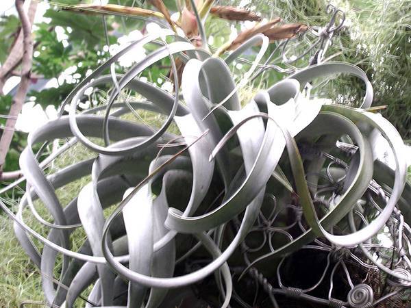 02 (5).jpg 02 (5).jpg