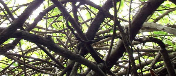 02 (6).jpg 02 (6).jpg