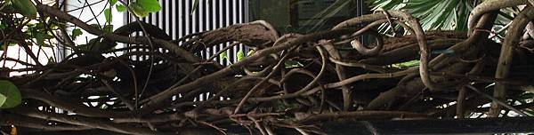 02 (7).jpg 02 (7).jpg