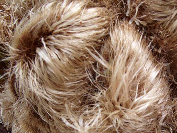 02 (8).jpg 02 (8).jpg