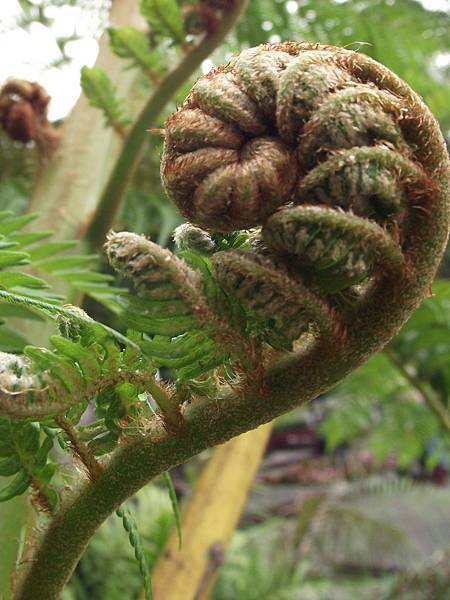 02 (9).jpg 02 (9).jpg