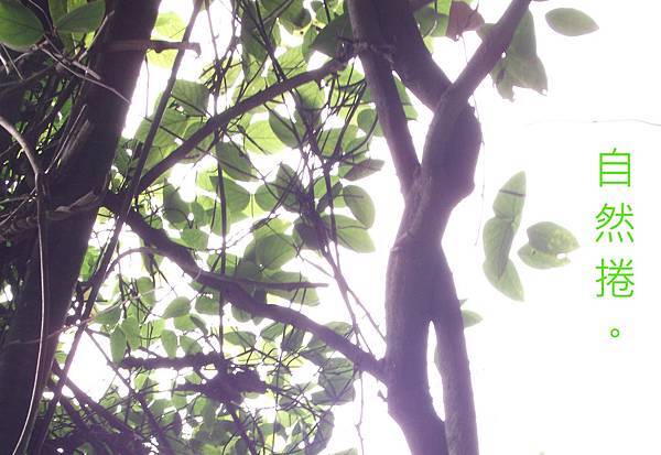 02 (16).jpg 02 (16).jpg