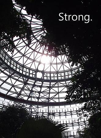 03 (2).jpg 03 (2).jpg