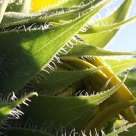 DSCF6797拷貝.jpg DSCF6797拷貝.jpg