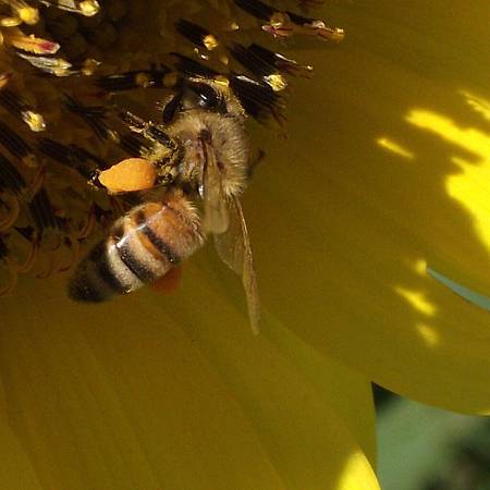 DSCF6787拷貝.jpg DSCF6787拷貝.jpg