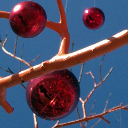 DSCF6898拷貝.jpg DSCF6898拷貝.jpg