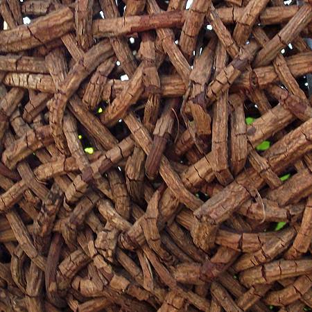 DSCF6892拷貝.jpg DSCF6892拷貝.jpg