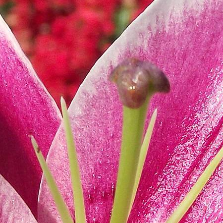 DSCF6924拷貝2.jpg DSCF6924拷貝2.jpg