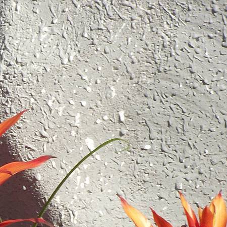 DSCF6957拷貝1.jpg DSCF6957拷貝1.jpg