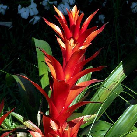 DSCF6957拷貝2.jpg DSCF6957拷貝2.jpg