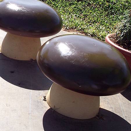 DSCF6959拷貝.jpg DSCF6959拷貝.jpg